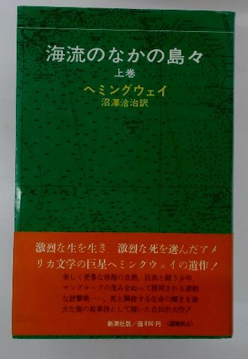 Amazon.co.jp: 英作文基本文型 : 岩田 一男: 本