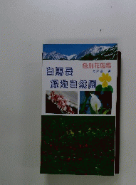 白馬岳栂池自然園