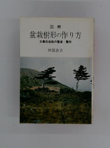 五葉松盆栽の作り方―図解で示す盆栽樹形の整姿・整形 | 阿部倉吉