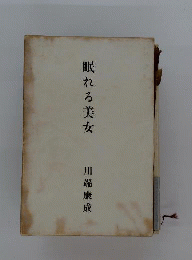 美本眠れる美女