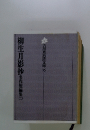 柳生月影抄