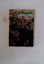 花どきの古都を歩く　京都の花