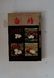 Thetruthmovementforwomen　白鳩　十月号