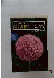 花木と草花の鉢作り