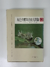 原色杲蝶類幼虫大図鑑　VOL.1