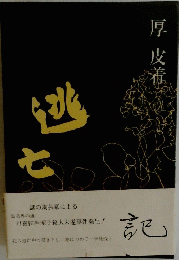 逃亡