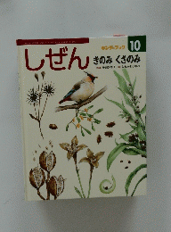 しぜん　キンダーブック 10　きのみ くさのみ　平成27年10月1日発行