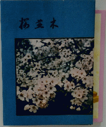 桜並木