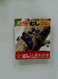 むし くらしとかいかた