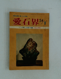 愛石界54/1