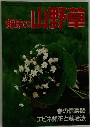 趣味の山野草