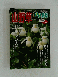 山野草とミニ盆栽　Vol.55