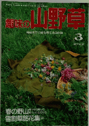 山野草　1993年3月