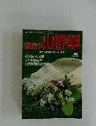 趣味の山野草　 1993年５月号