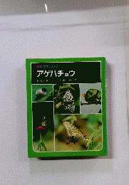 アゲハチョウ