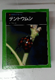 テントウムシ