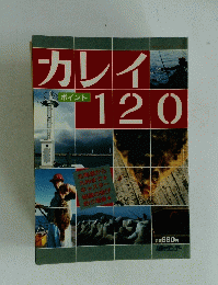 カレイ　120