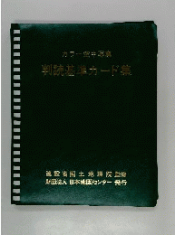 カラー空中写真　判読基準カード集