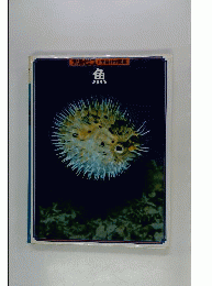 魚