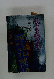 風雲武田武士