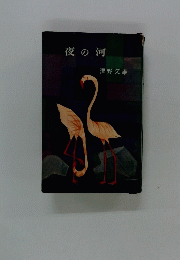 夜の河