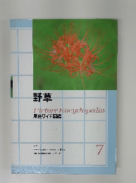 野草 PictureEncyclopedia 原色ワイド図鑑 7