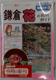 鎌倉花の名所ガイド