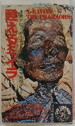 X-RAYING　THEPHARAOHS