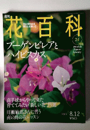 週刊花百科 24 ブーゲンビレアとハイビスカス