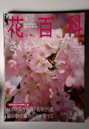 週刊花百科 2 さくら