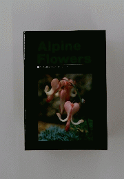 Alpine　Flowers