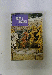 懸崖と盆栽菊　図解 仕立て方のコツ