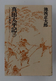 真田太平記　13