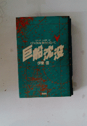 巨船沈没 : ぼりばあ丸事件を追って