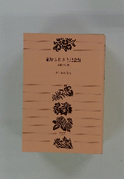 紙屋ふじさき記念館　春霞の小箱