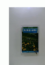美ガ原 霧ガ峰 蓼科