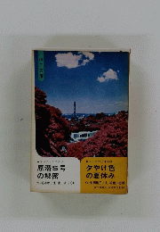 原潜S号の秘密　夕やけ色の夏休み