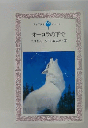 オーロラの下で