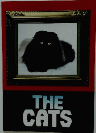 THE CATS