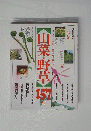 山菜 野草157種: いつ どこで どのように調べる 採る 味わう