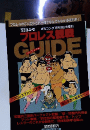 ’93ゴング プロレス観戦パーフェクトガイド