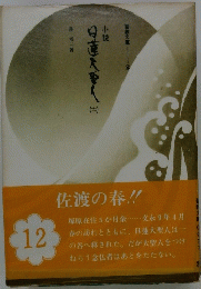 小説日蓮大聖人　12