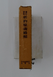 新約聖書略解
