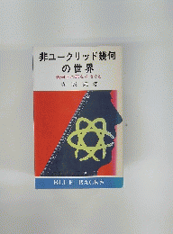 非ユークリッド幾何の世界　幾何学の原点をさぐる