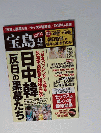 宝島 2014年 11月号 [雑誌]