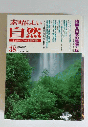 素晴らしい自然 1996年 No.38