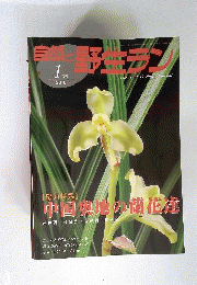 自然と野生ラン 　2010年 01月号