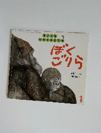 ぼくごりら　34