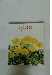 たんぽぽ