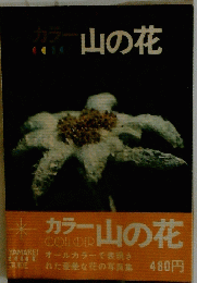 カラー山の花